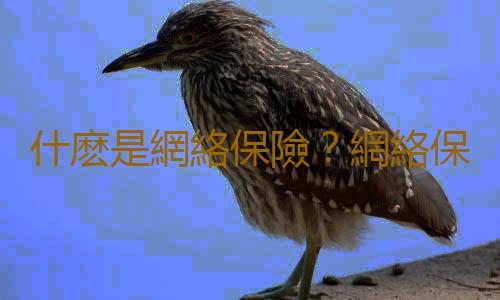 什麽是網絡保險？網絡保險怎麽投保？