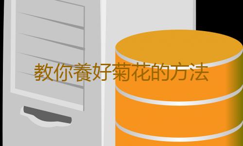 教你養好菊花的方法