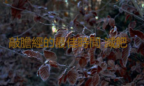 敲膽經的最佳時間 減肥就來敲膽經
