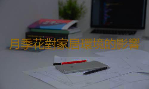 月季花對家居環境的影響