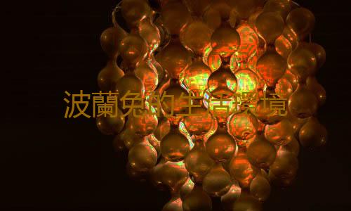 波蘭兔的生活環境