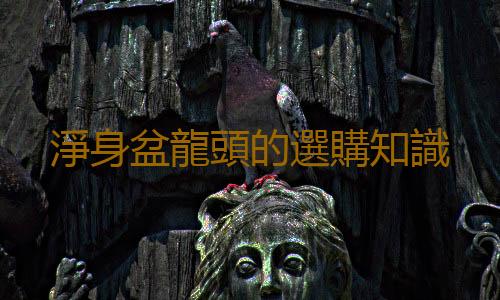 淨身盆龍頭的選購知識
