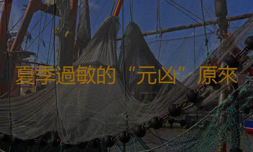 夏季過敏的“元凶”原來是這些因素