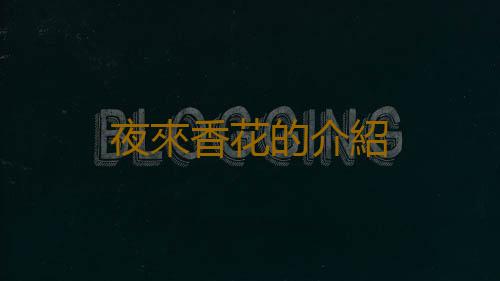 夜來香花的介紹