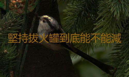 堅持拔火罐到底能不能減肥 顏色深代表毒素多濕氣重