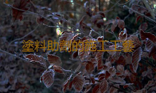 塗料助劑的施工工藝
