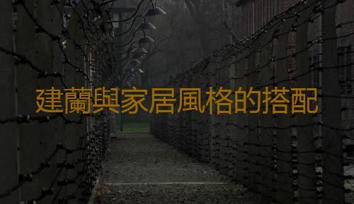 建蘭與家居風格的搭配