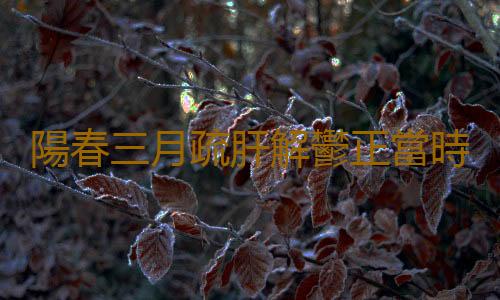 陽春三月疏肝解鬱正當時 薦春季養肝最佳方法