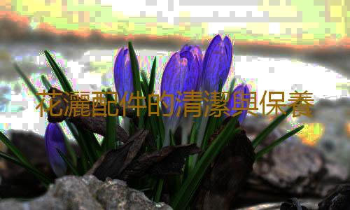 花灑配件的清潔與保養