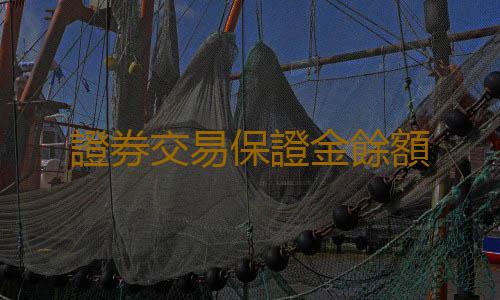 證券交易保證金餘額