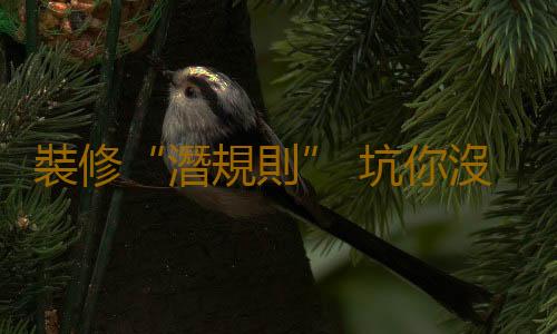 裝修“潛規則” 坑你沒商量！