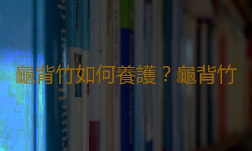龜背竹如何養護？龜背竹是什麽？